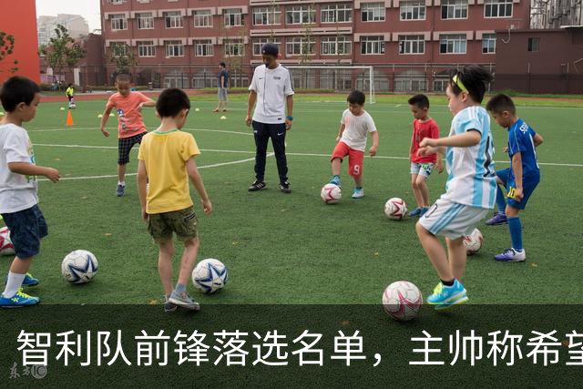 智利队前锋落选名单，主帅称希望他能说西语